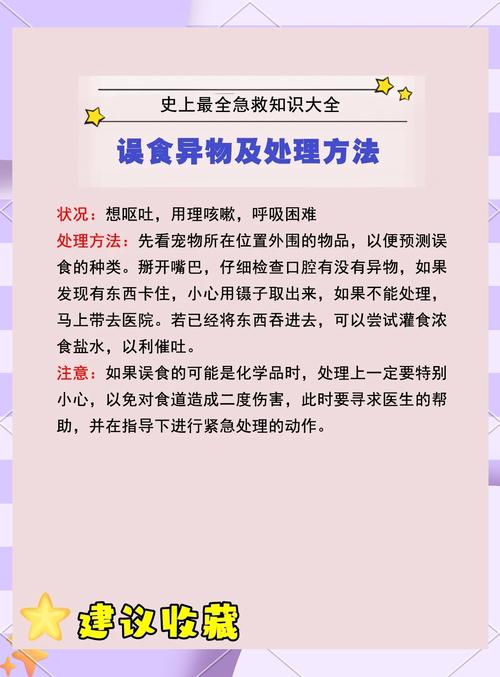 如何应对猫咪的肠子翻出问题——紧急情况下的急救指南