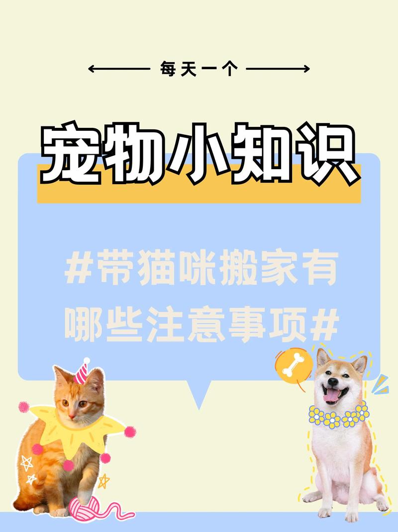 搬家时猫咪的贴心照顾指南