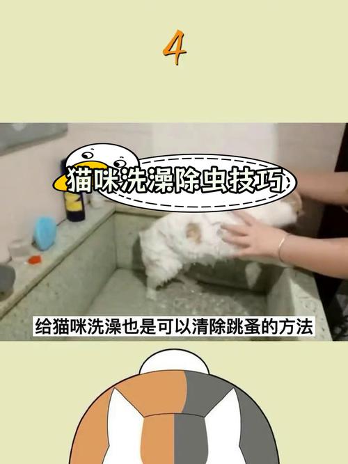 彻底清除猫咪身上的跳蚤，轻松享受无忧无虑的生活