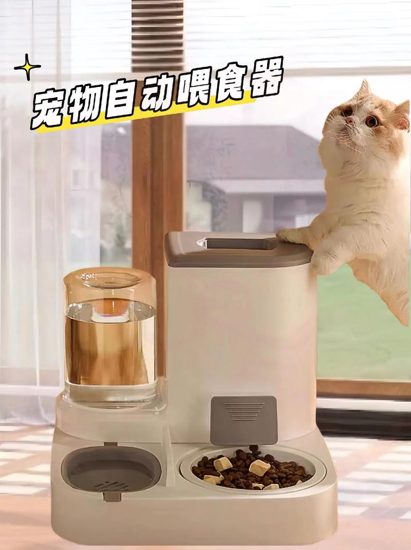 揭秘猫咪自动喂食器，哪些才是最适合您的选择？