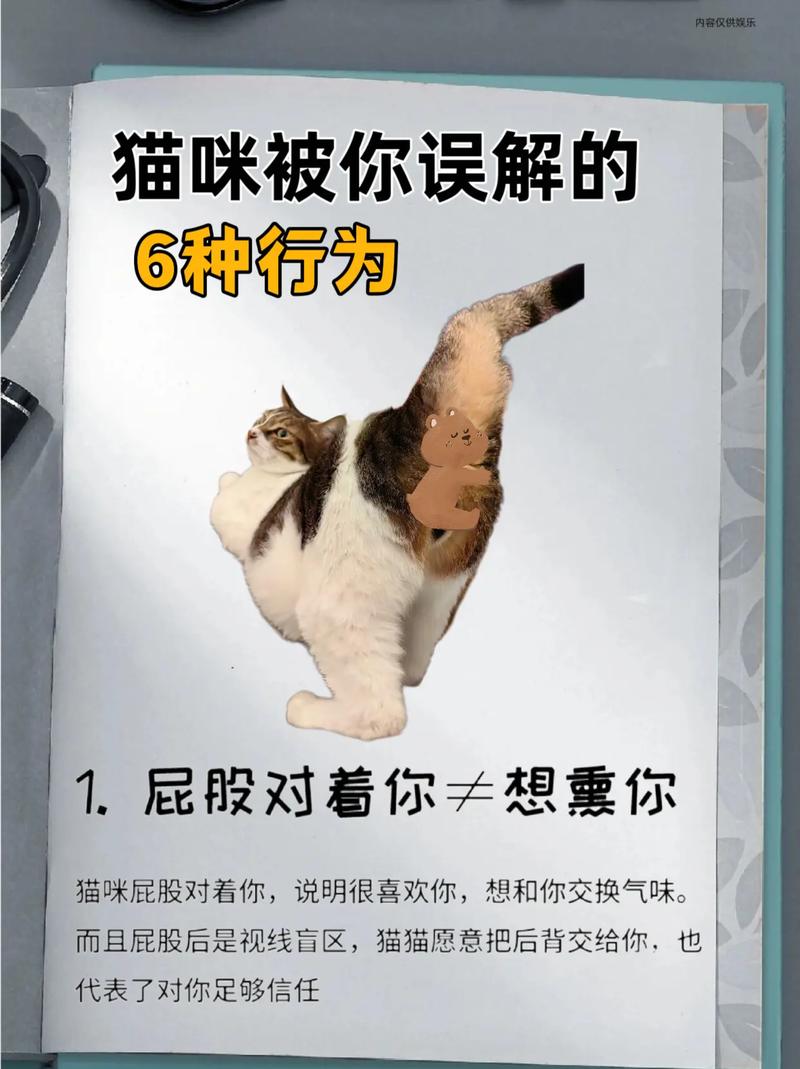 猫咪能吃狗粮吗？你可能误解了它们的营养需求