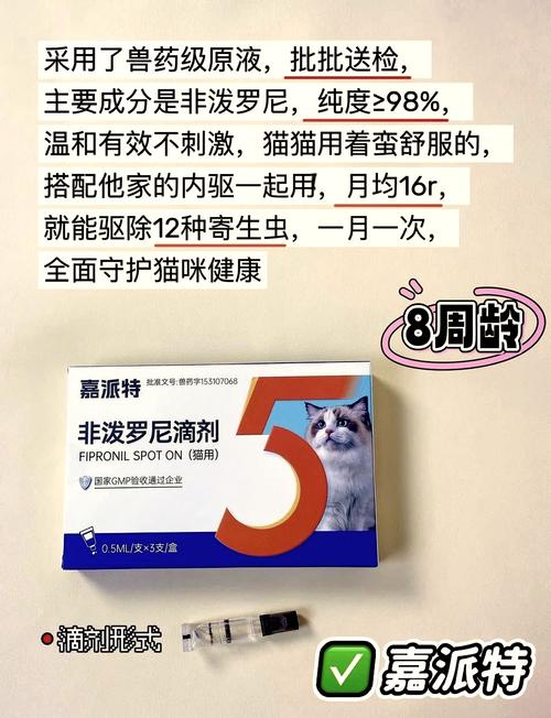 猫咪多大可以吃驱虫药？专家建议全解析