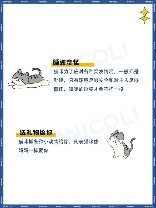 猫爪上的温柔陷阱——解读猫咪的咬与爱意