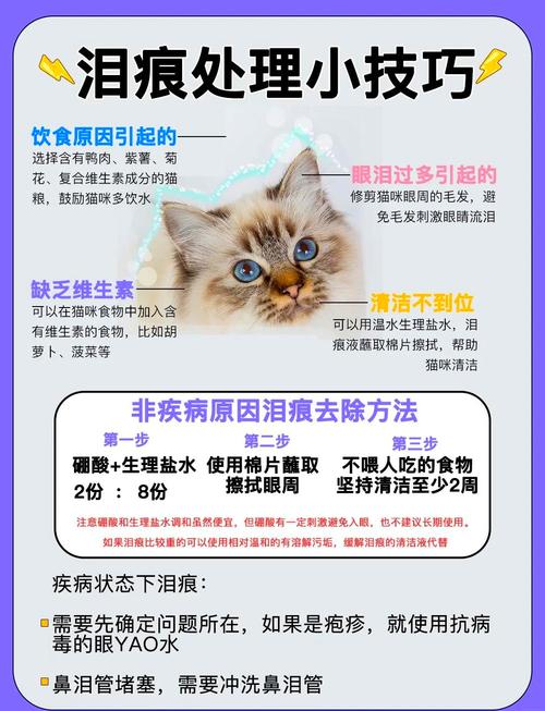 揭秘猫咪泪痕的秘密，选择最适合的猫粮