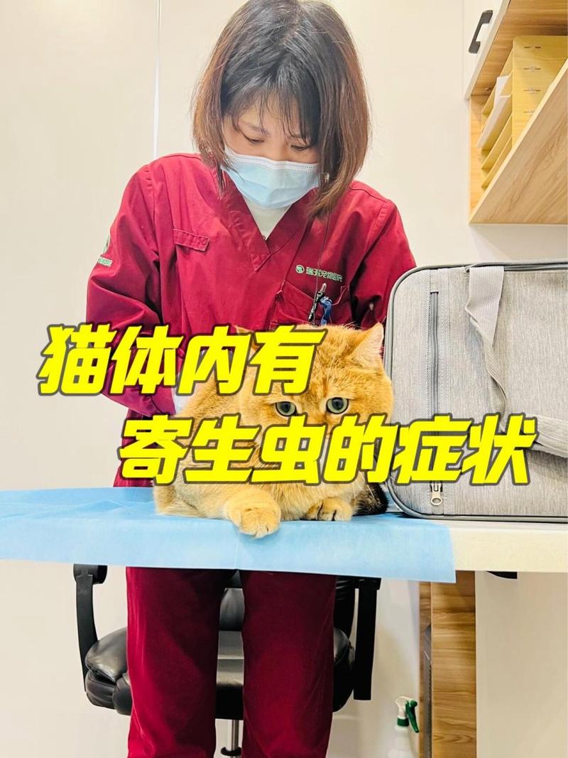 猫咪血液寄生虫症状