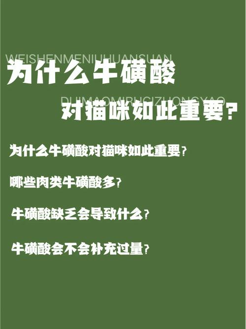 猫咪的营养宝典，如何科学补充牛磺酸