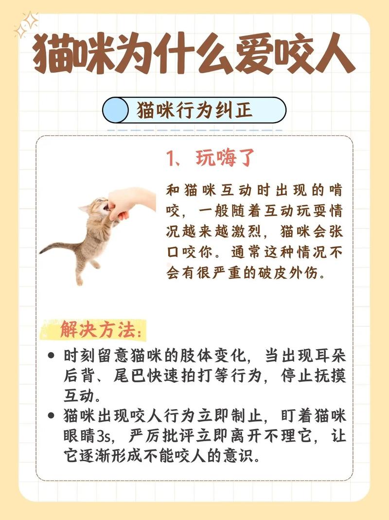 猫咪为什么喜欢咬人手