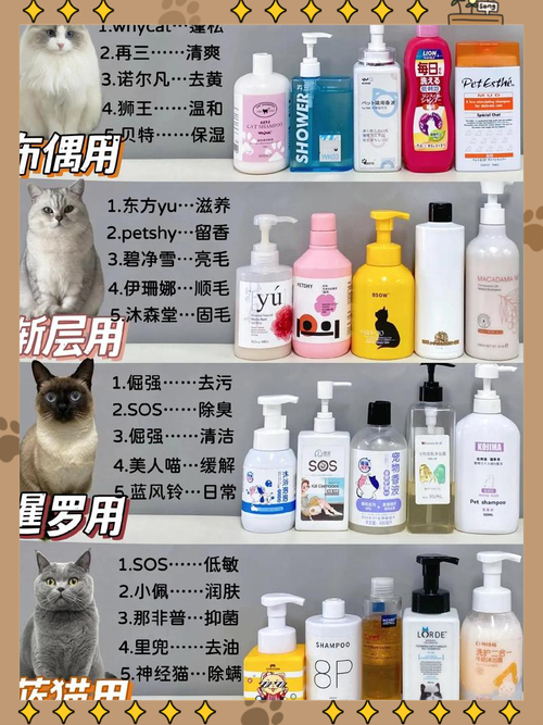 猫咪沐浴露，挑选指南，让毛孩子更健康