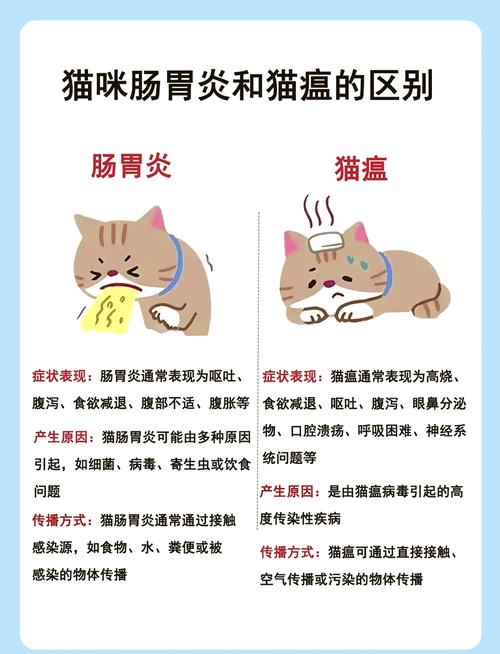 揭开猫咪肠炎与猫瘟的神秘面纱