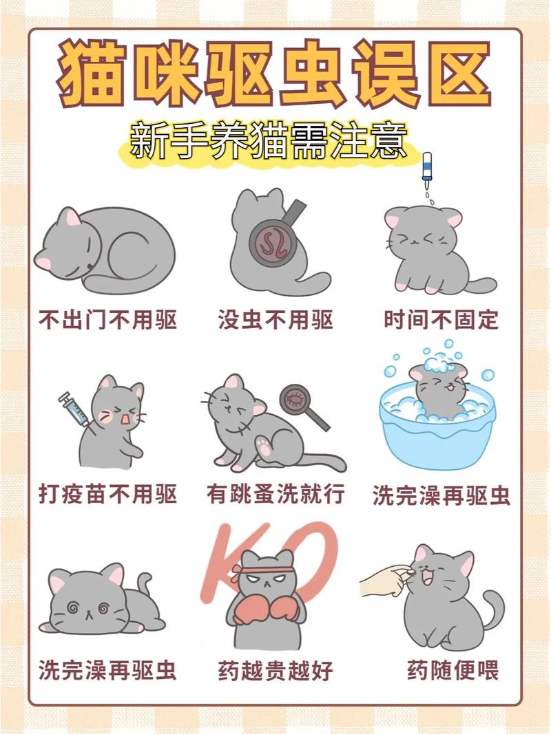 猫咪何时应进行体外驱虫——呵护毛孩子健康成长的必要步骤