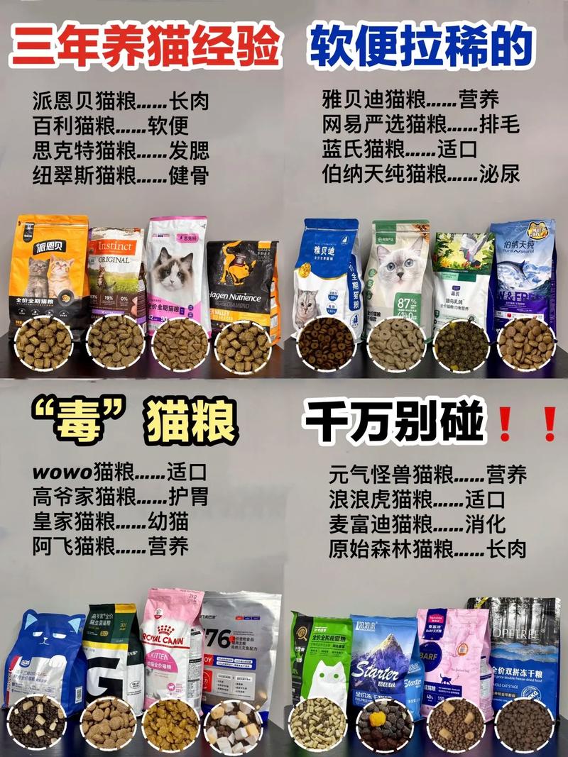 猫咪的猫真事，揭秘为何它们会秘密埋猫粮