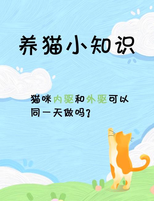 猫咪健康成长的秘籍——有效驱虫方法