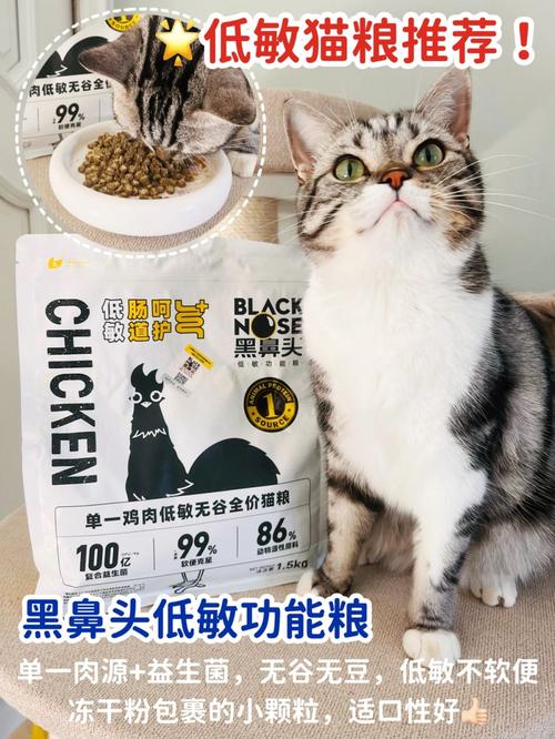 猫咪呕吐后如何妥善处理饮食问题