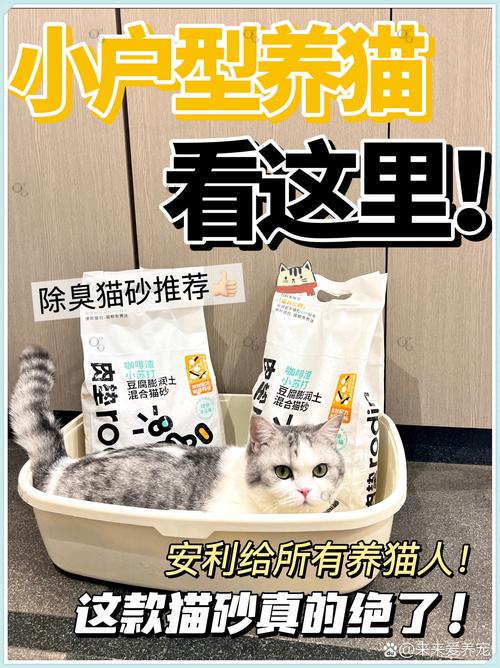 猫咪为何不愿使用猫砂？揭秘猫砂不适应的真相