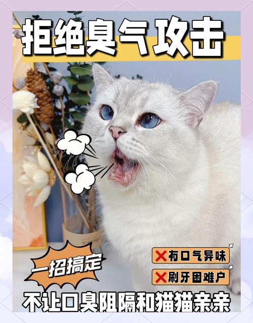 猫咪为什么嘴巴会变臭？