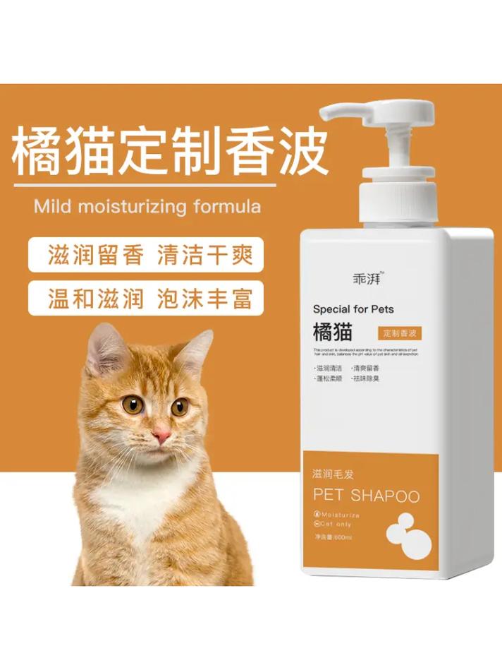 探索猫咪洗澡的最佳选择，十大品牌推荐