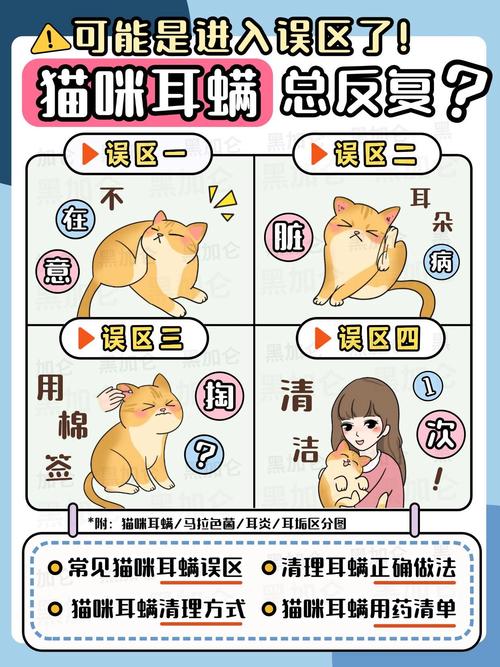 猫咪耳螨治疗周期，关键因素与常见误区