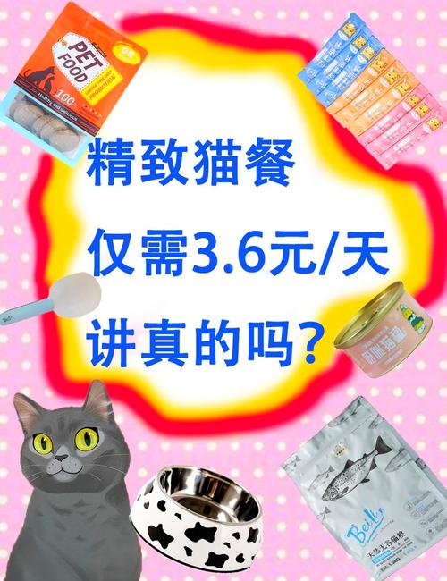 猫咪并非仅食猫粮，科学喂养需知