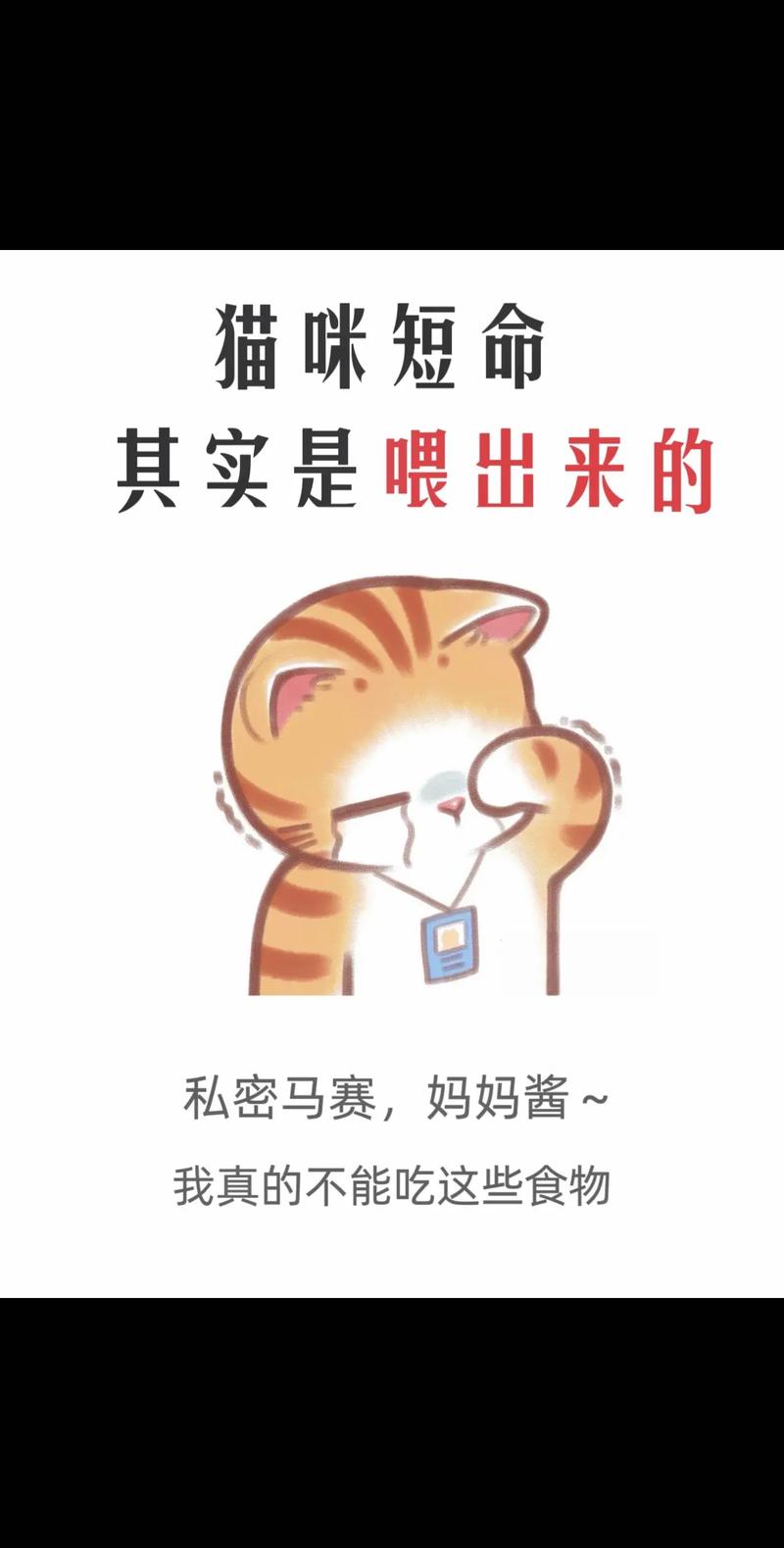 科学喂养猫咪，益生菌一次喂多少才是最佳