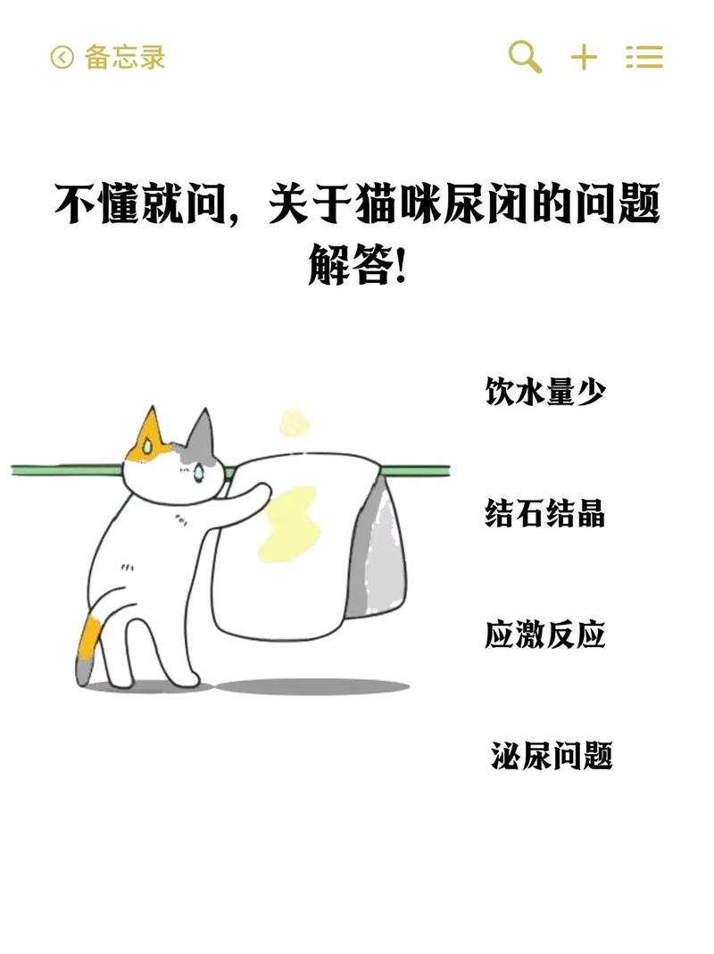 猫咪上厕所尿不出的那些常见问题与解决之道