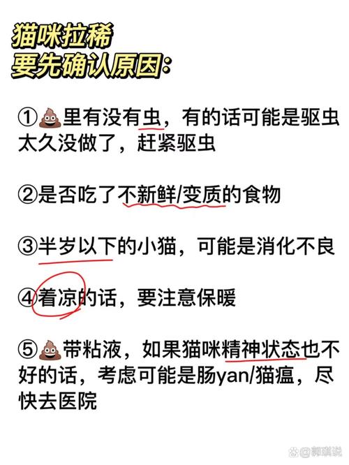 猫咪吃了驱虫药后拉稀的那些事儿