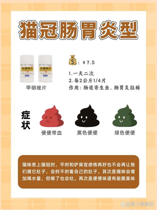 猫咪肠胃病的常见症状与应对方法