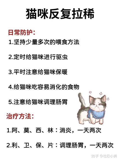 猫咪有些拉肚子怎么办