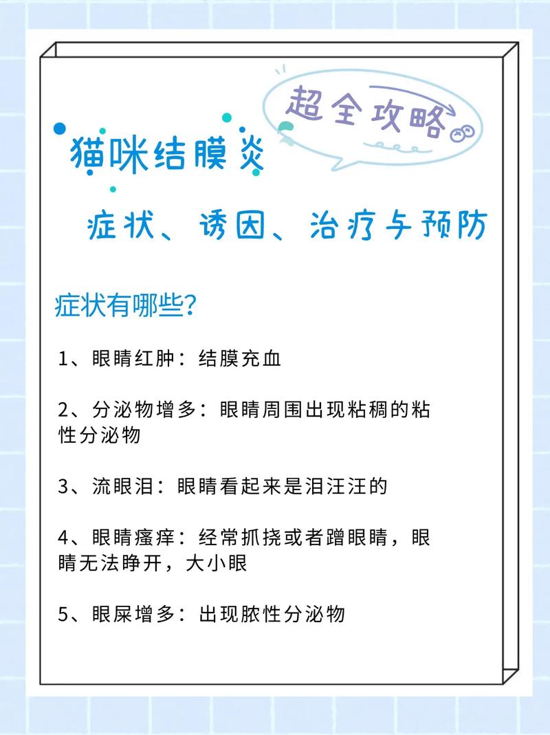 猫咪结膜炎，了解其传播性与预防策略