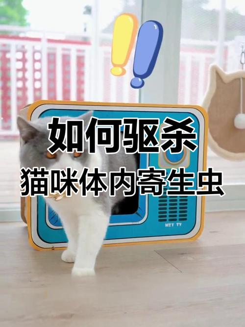 猫咪大便有虫子？应对策略全在这里