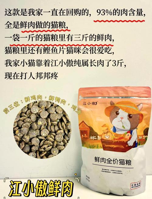 揭秘伟嘉猫粮，为您的猫咪打造专属的学院生活