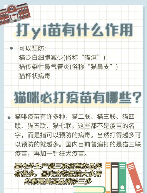 全面解析猫咪疫苗接种指南