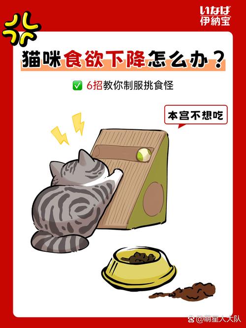 猫咪为什么总是不停地吃？揭秘猫咪的食欲与健康