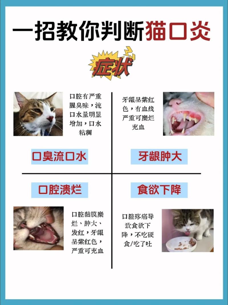 猫咪嗓子发炎，你真的会应对吗？