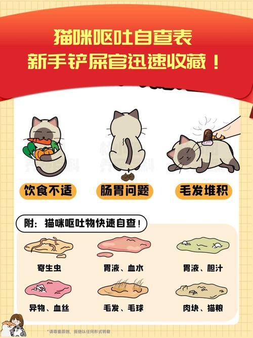 猫咪呕吐黄色液体，主人该当如何应对？