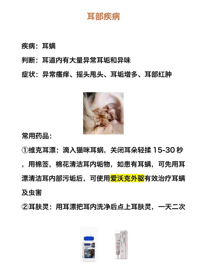 探索养宠之路，猫咪耳螨治疗费用解析