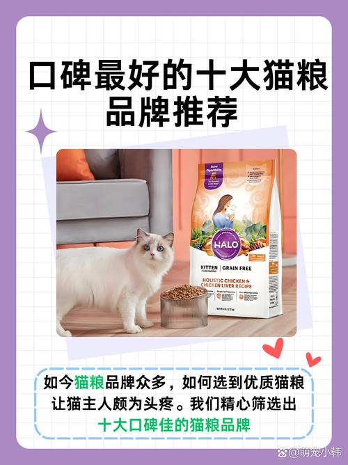 猫咪软骨素，挑选优质品牌的秘籍