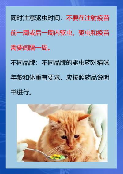 猫咪体内驱虫药的正确使用方法