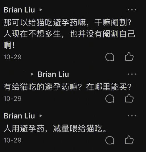 挑选猫咪避孕药的指南，哪些品牌更值得信赖？