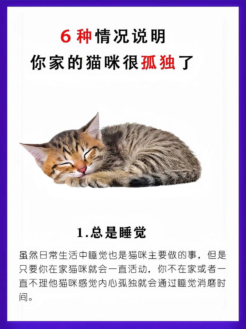 猫咪忧郁症，识别与缓解你的毛茸伙伴的失落情绪