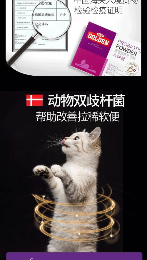 揭秘谷登猫咪益生菌，为你的爱宠保驾护航