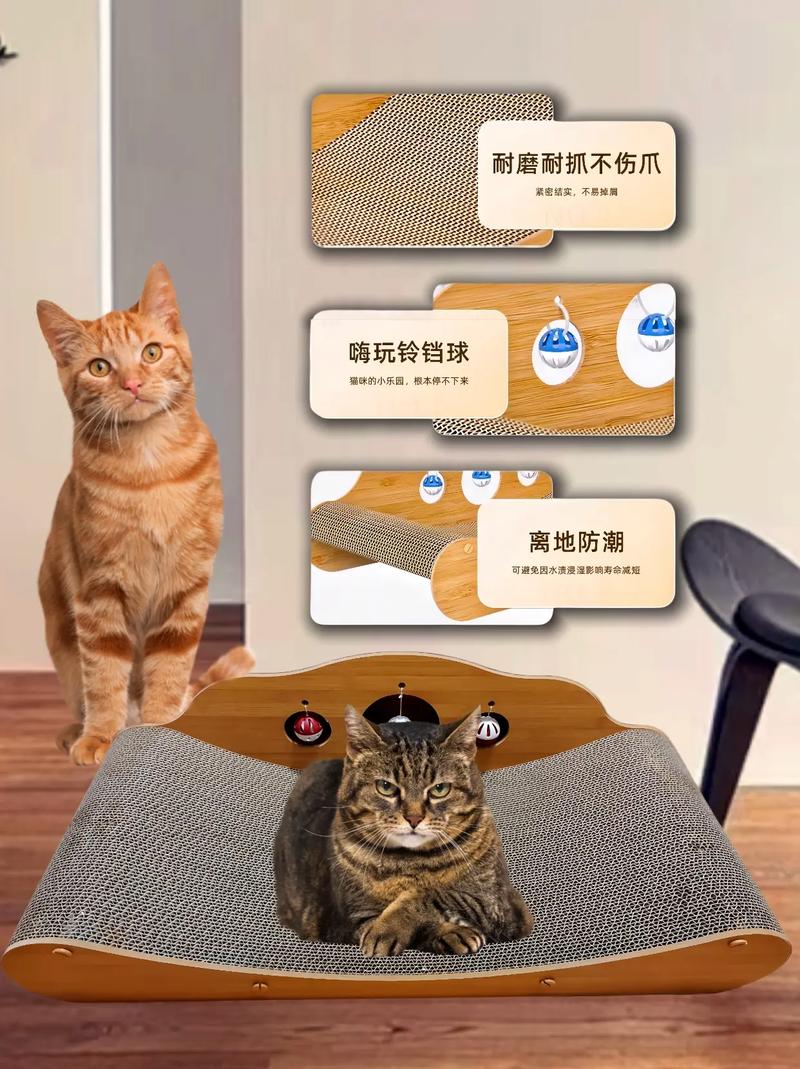 猫咪为什么需要猫抓板？——呵护毛孩子健康成长的秘密武器