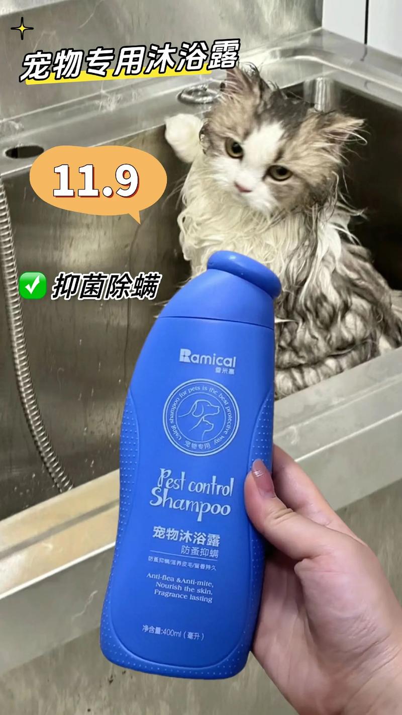 探索猫咪最爱的沐浴露，探寻猫咪的爱宠之选