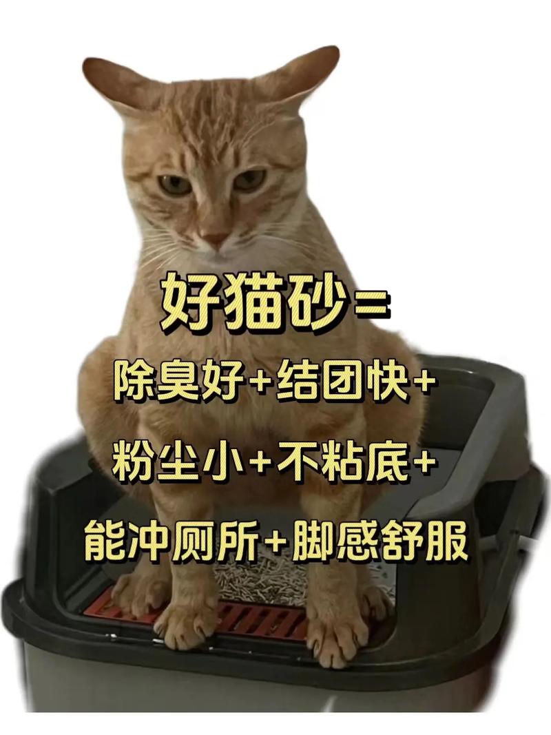 猫咪使用猫砂为何会烧脚？