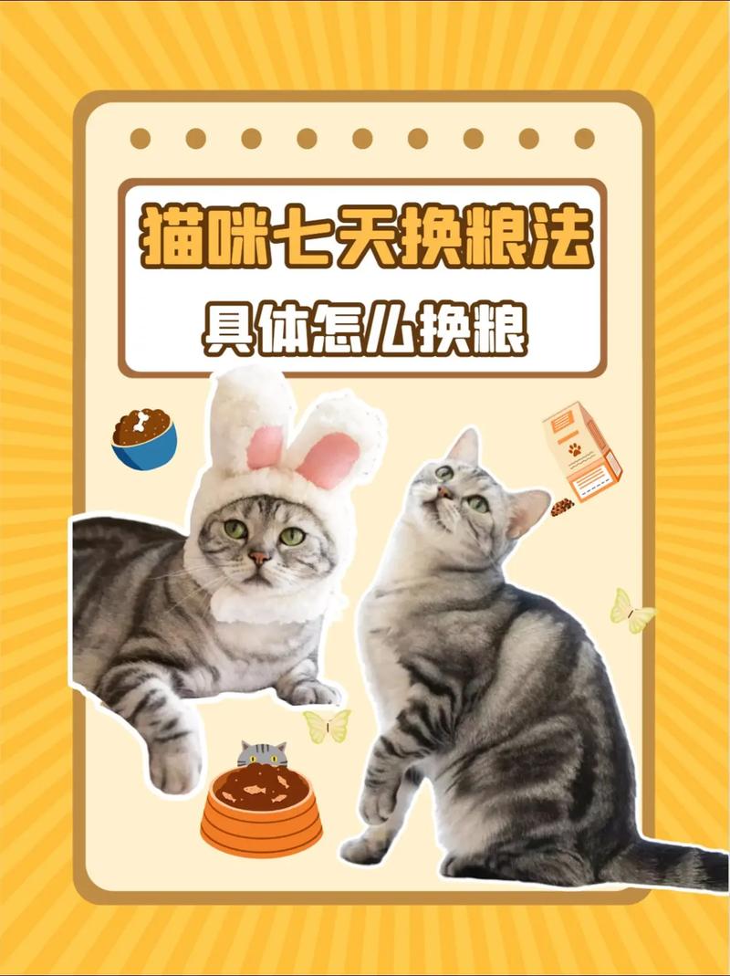 猫咪应该经常更换猫粮吗？