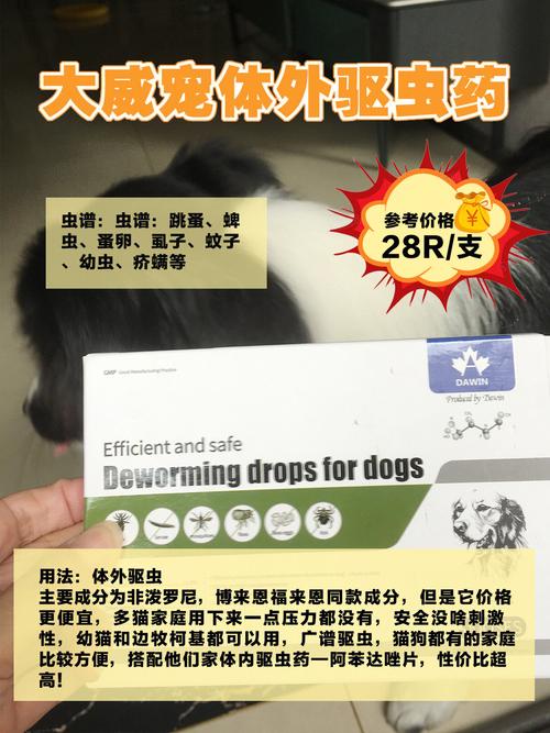 猫咪体外驱虫药使用指南，安全有效呵护毛孩子