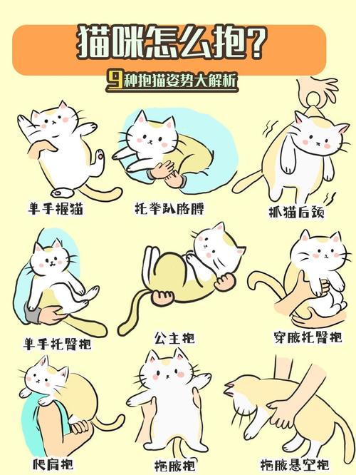 为何常抱猫咪，身体与心理皆受益