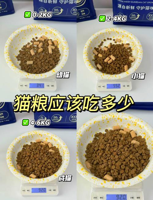 猫咪吃饭好还是吃猫粮好？为你解答