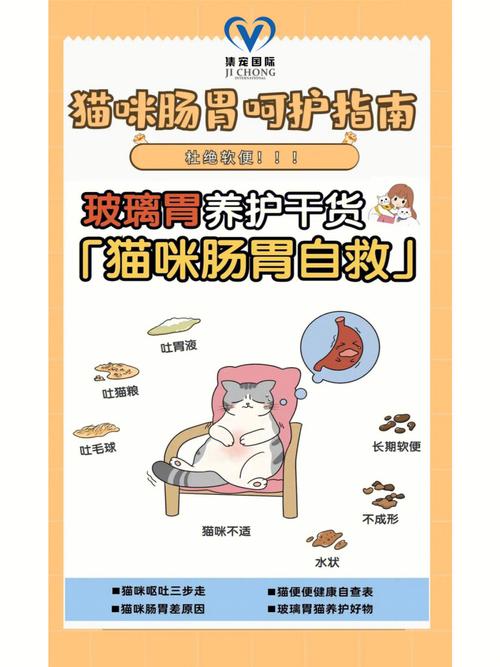 为爱宠解忧——猫咪肠胃炎时的饮食指南