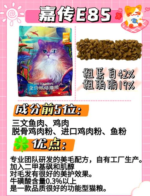 为您的小猫挑选最适合的猫粮