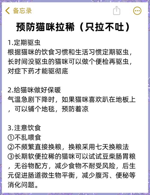 猫咪持续拉稀精神不振？如何快速应对